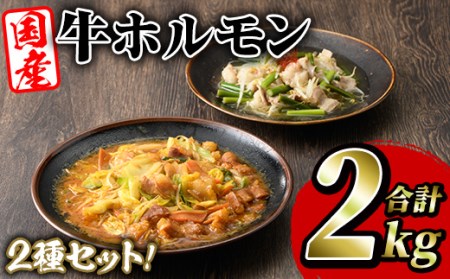 akune-2-63 スターゼン特選！国産牛ホルモン2種セット(合計2kg) 国産 特産品 牛 小腸 味付 パック 詰め合わせ 詰合せ 炒め物 鍋 モツ おかず お弁当 2-63