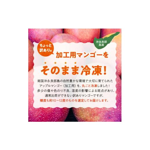 ふるさと納税 鹿児島県 和泊町 ■「訳あり」加工用冷凍マンゴー１キロ（２〜３玉） ／沖永良部島産