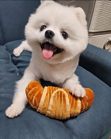 牛角包藏食玩具