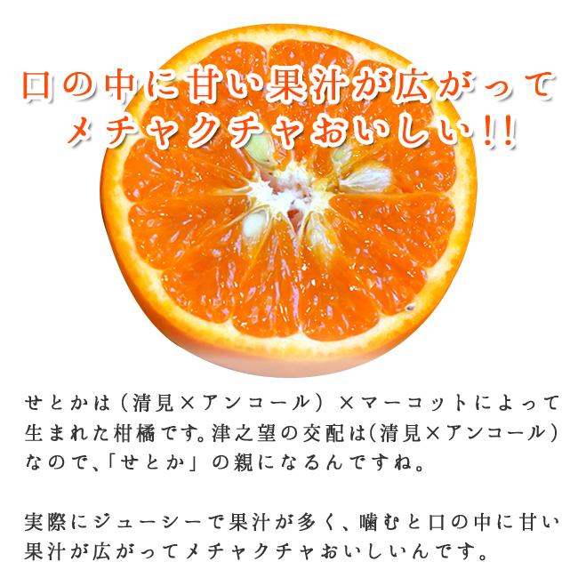 津之望 つののぞみ 10kg 和歌山産 減農薬 国産 送料無料 農家直送 産地直送