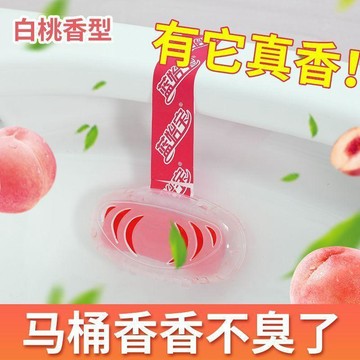 臺灣熱賣🔥🔥馬桶掛籃 新款上市 無水箱 廁所 除臭 去除異味 懸掛式 潔廁神器 馬桶清潔