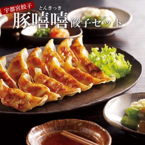 豚きっき お土産用肉餃子 2箱 [肉餃子(30個)x2箱・タレ付] 冷凍(送料無料)