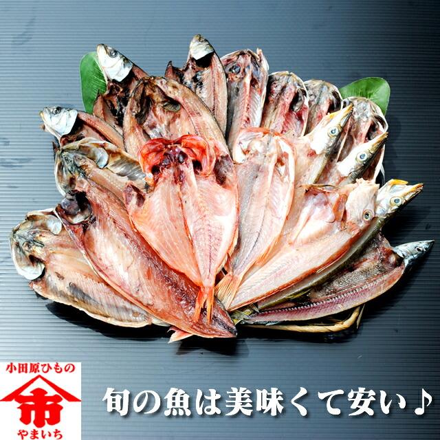 おまかせ干物セット6000円コース〜魚は山市干物専門店におまかせください!その時の最高の魚を干物にてお送りします。