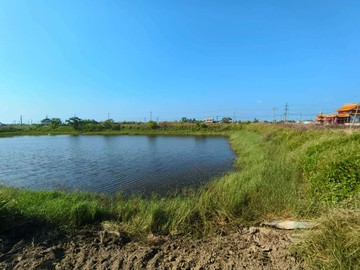 7股超俗超美可養蝦魚塘加庄內農地｜台南市七股區城內段