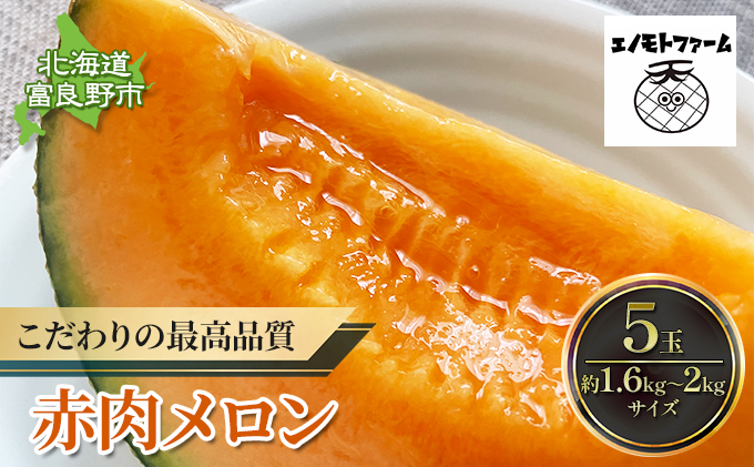 北海道 富良野産 赤肉メロン 5玉 1.6kg～2kgサイズ ふらの メロン ギフト 果物 赤玉 (榎本農園)