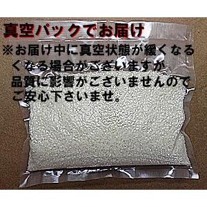 メール便 無洗米 3合分×1個(450g×1) 福井県産 コシヒカリ 玄米 精米 もOK こしひかり 福井産