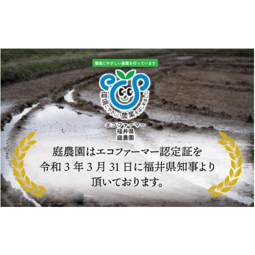 ふるさと納税 福井県 大野市 越前大野産 エコファーマー認定農家栽培 こしひかり5kg（玄米）