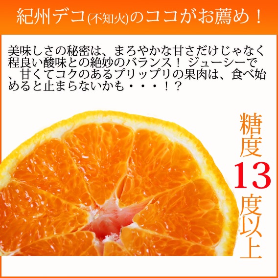 高級ブランド田村の完熟紀州デコ(不知火) ※2024年2月下旬頃〜3月下旬頃に順次発送予定