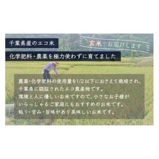 ふるさと納税 千葉県 大網白里市 ＜3ヶ月定期便＞千葉県産エコ米「コシヒカリ」玄米5kg×3ヶ月連続 計15kg ふるさと納税 玄米 定期便 5kg コシヒカリ エコ米 …