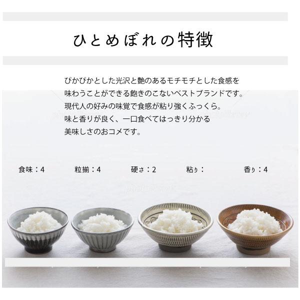 米 お米 米10kg  新米 ひとめぼれ 白米10kg 5kg x2袋 令和5年福島県産