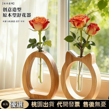 『新店限時下殺🎉』2026新款新款木實木花瓶工位裝飾擺件水培綠植花瓶創意玻璃管器皿高級花器