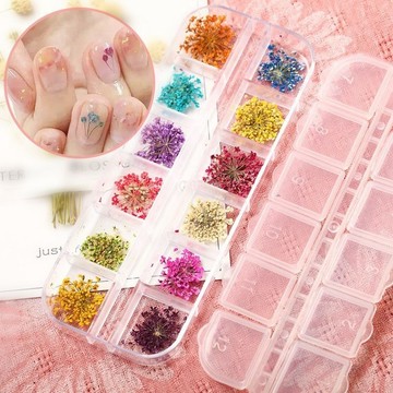 💗台灣出貨💗日式乾花美甲飾品小花瓣指甲花貼雪珠花美甲裝飾品diy蕾絲花真花