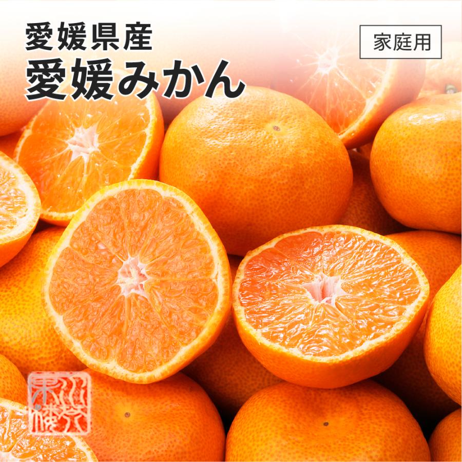 (11月上旬頃より順次発送) 愛媛県産 温州みかん 2L〜3Lサイズ 約2.5kg 家庭用 訳あり みかん ミカン