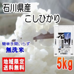 令和5年産石川県産こしひかり5kg ※北海道・九州・沖縄は送料別途　米　5キロ　送料無料