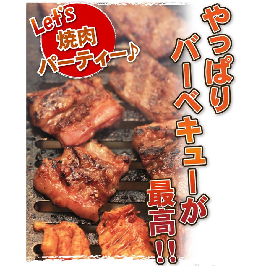 肉 豚肉 豚肩ロース 焼肉用 5mm 500g 精肉 冷凍 切り落とし