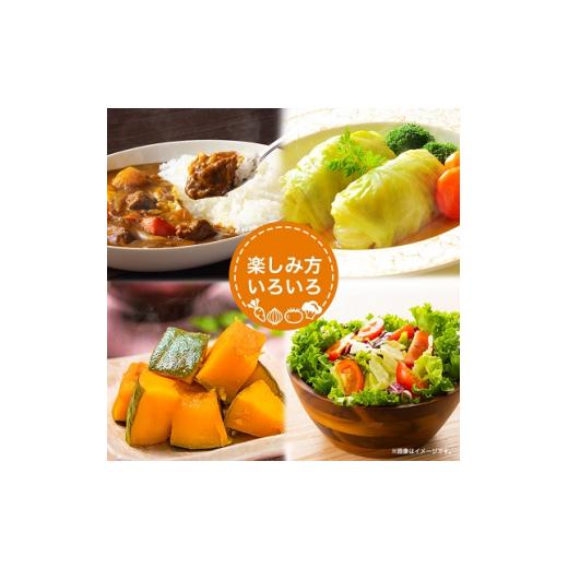 ふるさと納税 福島県 棚倉町  野菜 詰め合わせ セット おまかせ 詰め合わせ 旬 旬野菜 季節の野菜 新鮮 産地直送 産直野菜 人気 美味しい 送料無料 【1017…