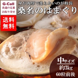 マルタカ水産 桑名のはまぐり 中サイズ5～6cm 約3kg 60粒前後入り 送料無料