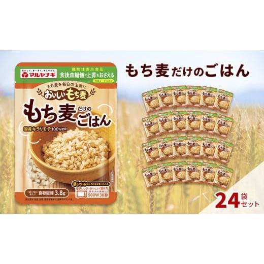 ふるさと納税 兵庫県 加東市 国産蒸しもち麦24袋セット