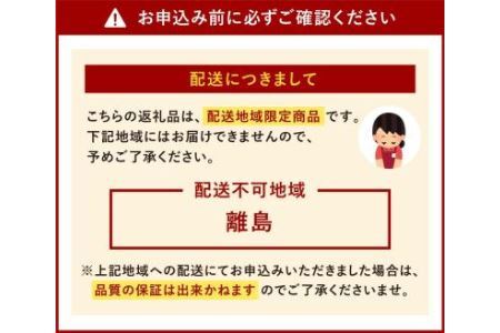 博多和牛 サーロインステーキ セット 500g (250g×2枚) 牛肉 国産 冷凍