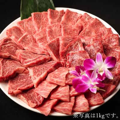 ふるさと納税 杵築市 匠牧場のおおいた和牛希少部位4種焼肉セット1.6kg(800g×2箱)