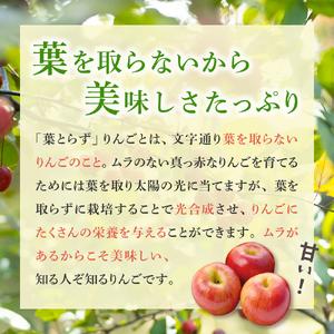 ふるさと納税  りんご 約10kg サンふじ 葉とらず 青森産 青森県五所川原市