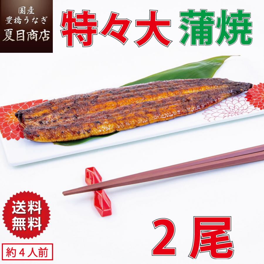 うなぎ 蒲焼き 国産 特々大211-249g×2尾 （約4人前） 送料無料 プレゼント 贈り物 お歳暮 ギフト