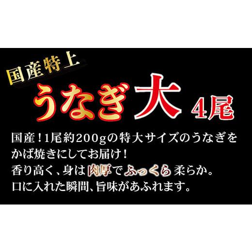 ふるさと納税 福井県 越前市 国産！特上うなぎのかば焼き 約200g × 4尾