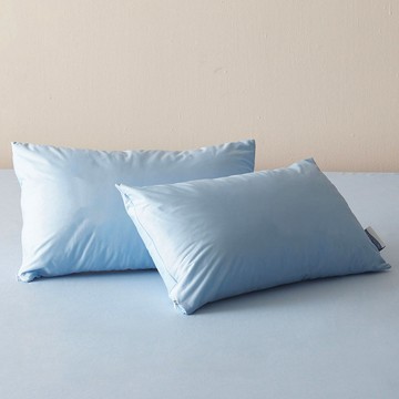 PROTECT-A-BED 月夜睡眠防水枕頭套  藍色  2個  30 x 50 cm