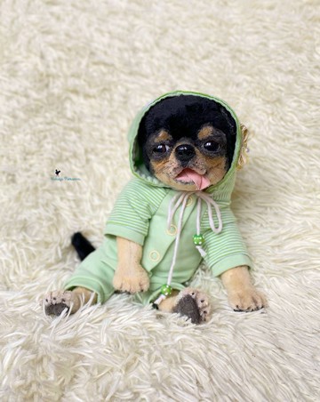 吉娃娃小狗现实玩具