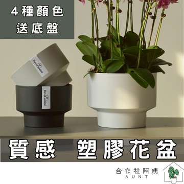 【現貨-隔日配】塑膠花盆 花盆 塑膠盆 園藝 園藝花盆 水泥盆 花盆 多肉花盆 盆器 036