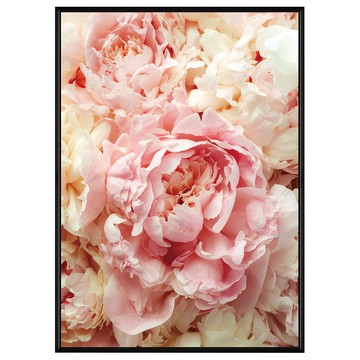 Boluo 菠蘿選畫所 胭脂牡丹 40 x 30cm 畫框 居家裝飾藝術掛畫  黑色