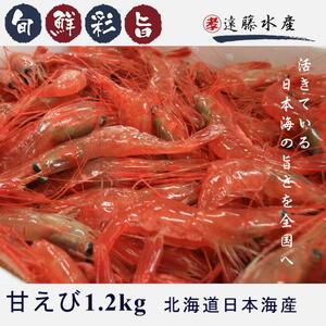 ふるさと納税 5-013-020　甘えび 1.2kg（300g×4） 北海道増毛町