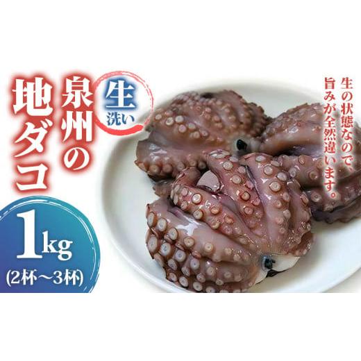 ふるさと納税 大阪府 泉大津市 生洗い泉州の地タコ1kg(2尾〜3尾)[0531]