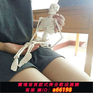 【台灣公司 可開發票】人體骨骼模型45 85CM骨架模型 人體脊柱模型脊椎模型骨骼骷髏