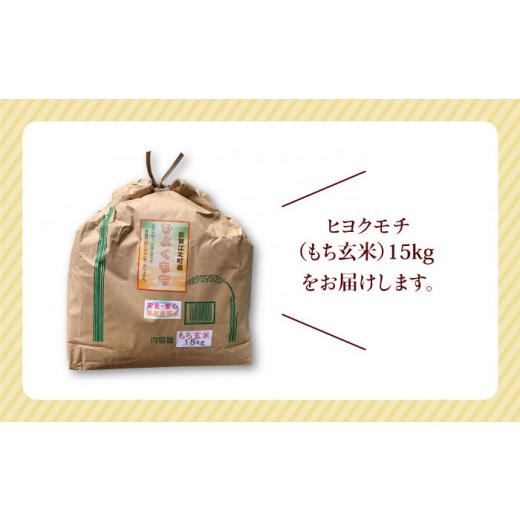 ふるさと納税 佐賀県 江北町 令和5年産 新米 ヒヨクモチ 玄米 15kg[HAP006]