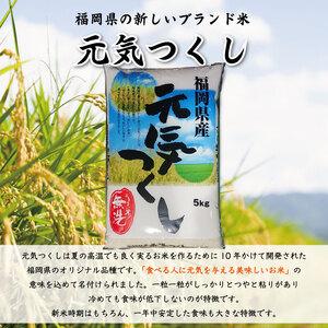 ふるさと納税 福岡県産 元気つくし 無洗米 5kg(5kg×1) [a0196] 株式会社 藤食糧 添田町 ふるさと納税 福岡県添田町