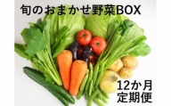 H-13 旬のおまかせ野菜BOX定期便 