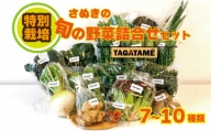 野菜 特別栽培 セット 詰め合わせ 栽培期間中農薬不使用 7～10種類 TAGATAME タガタメ 旬の採れたてお野菜詰め合わせセット