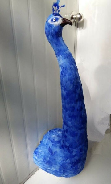 定做各種動物模型 仿真孔雀頭 羽毛小鳥園林墻壁裝飾攝影教學道具