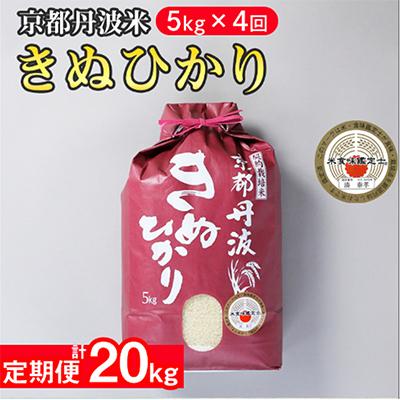 ふるさと納税 亀岡市 訳あり 京都丹波米 きぬひかり 5kg全4回