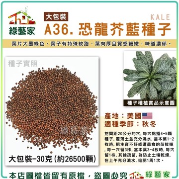 綠藝家【00A36】大包裝.恐龍芥藍種子30克(約26500顆) 葉片大墨綠色 葉肉厚且質感細嫩
