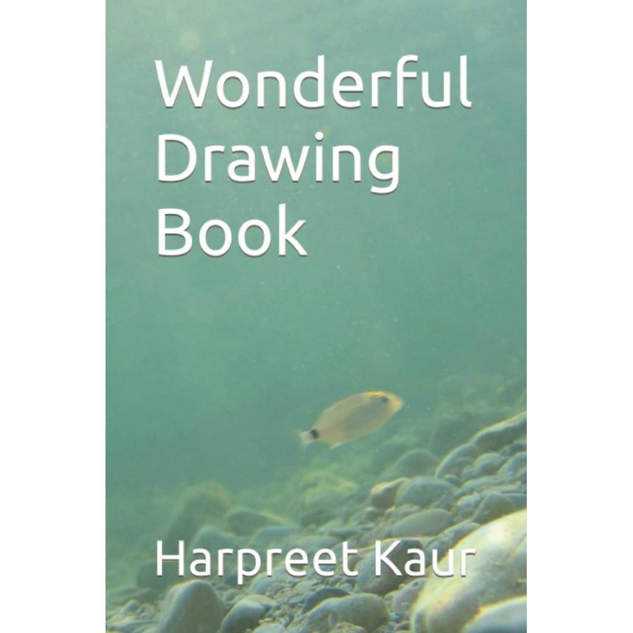 Wonderful Drawing Book