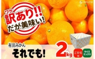 訳あり それでも 有田みかん 箱込 2.5kg (内容量約 2.3kg) B品 サイズミックス 和歌山県産 