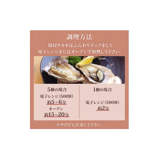 ふるさと納税 宮城県 石巻市 牡蠣むき身500gと殻付き牡蠣6個のお楽しみセット