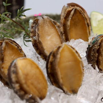 【有魚生鮮】鮮凍帶殼熟鮑魚700 g(12 顆)/盒