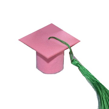 【A-ONE 匯旺】粉色(小)畢業公仔學士帽 畢業禮物 diy材料 蛋糕裝飾 花束佈置 酒瓶帽 迷你帽子博士帽 碩士帽