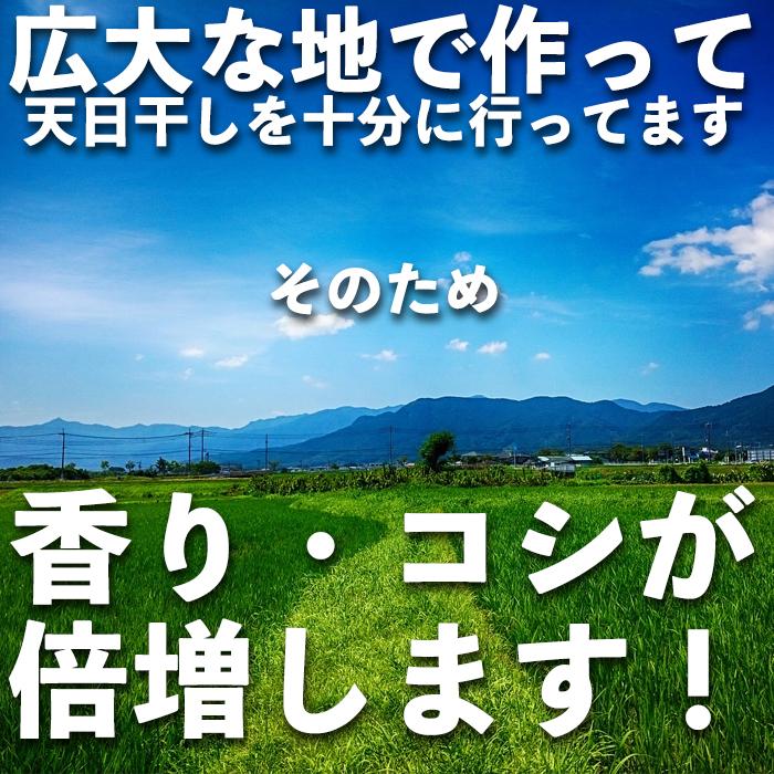 そば 常陸秋そば 石臼びき 常陸秋そば 200g×5袋 秋-5 お歳暮 年越そば 茨城 送料無料