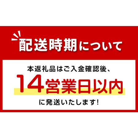 ふるさと納税 《14営業日以内に発送》北海道産カットいか一夜干し ソフトタイプ イカ 烏賊 干物 柔らかい 炙り フライ 揚げ物 煮付  北海道 一.. 北海道北見市