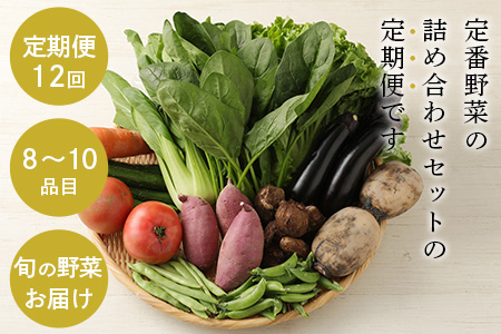 旬のおまかせ 野菜 BOX 野菜定期便 旬の野菜 詰め合わせ 野菜 新鮮 野菜 8～11品目 H-13