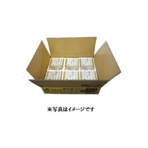 ふるさと納税 新潟県 ★定期便 新潟産こしひかりパックご飯１２P×2か月コース